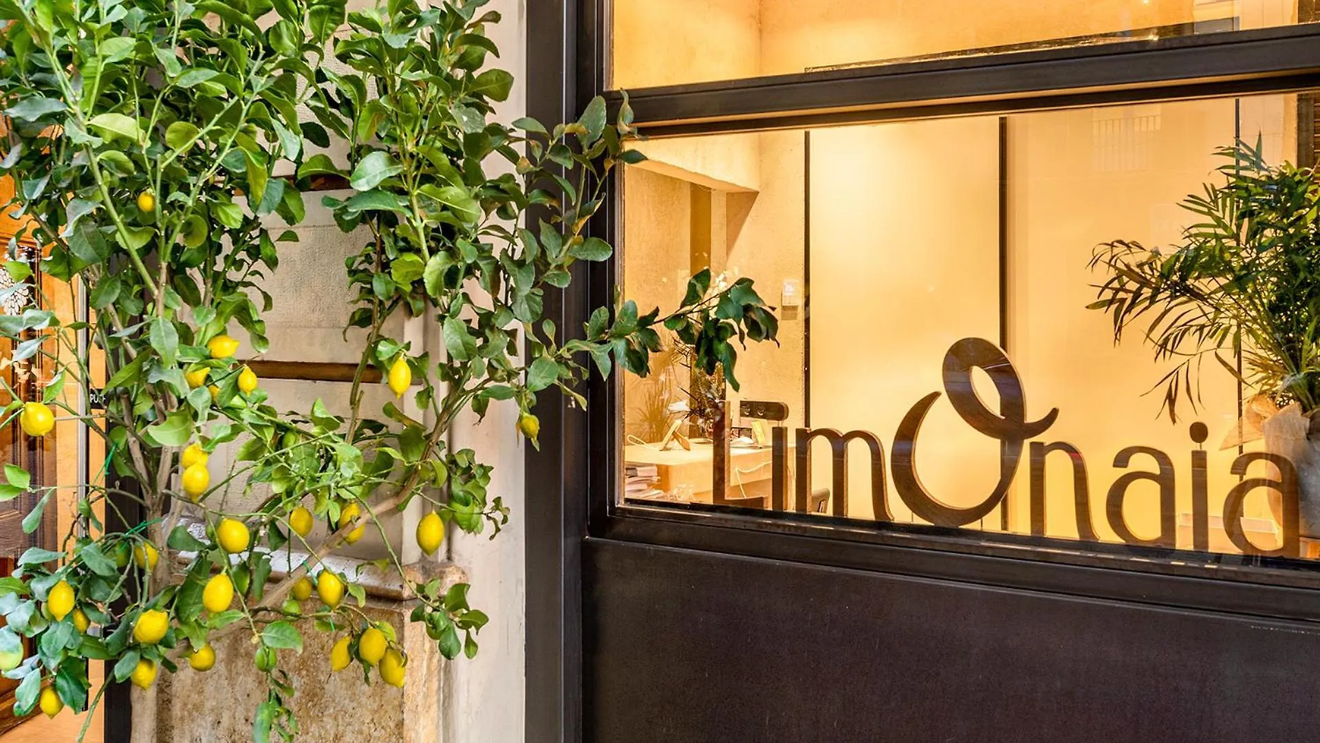 Limonaia Hotel Barcelona
