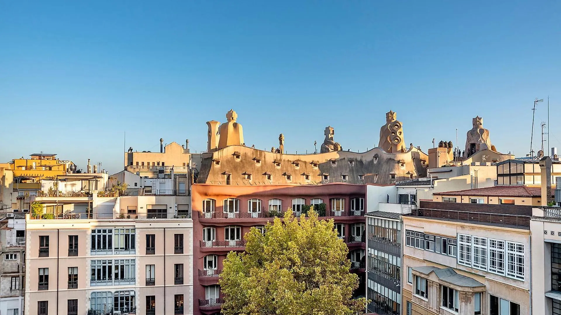 Limonaia Hotel Barcelona Spain